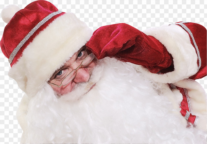 Beard Smile Santa Claus PNG
