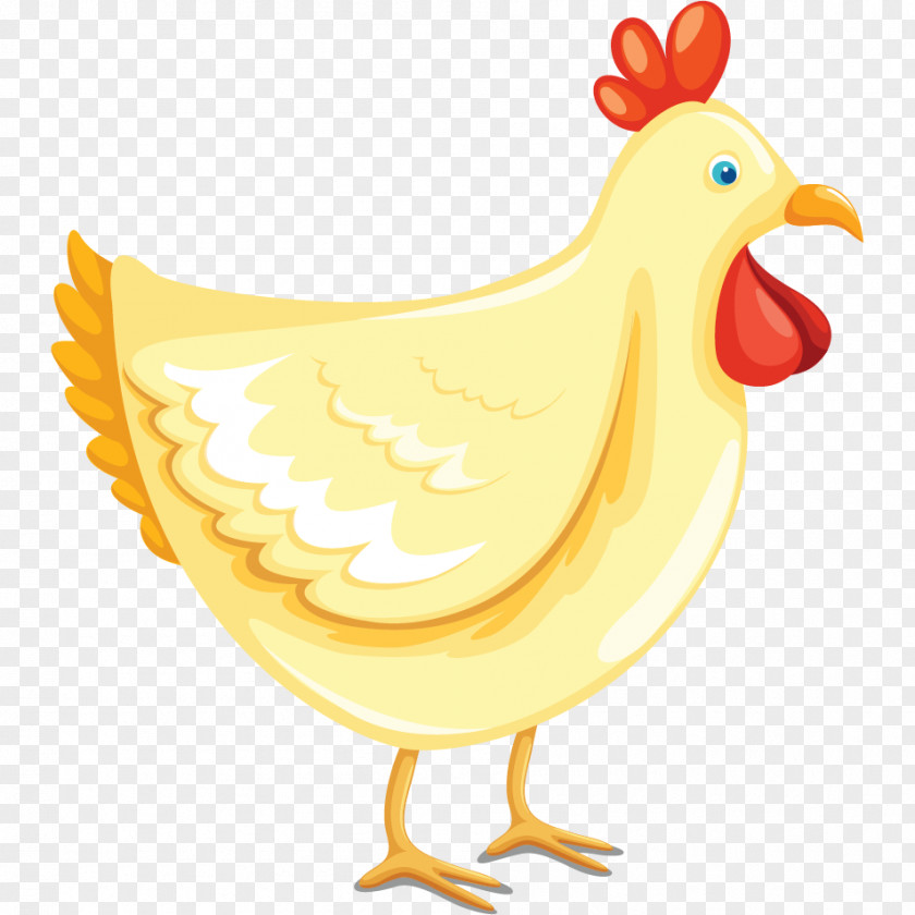 Cute Cartoon Hen Chicken Rooster Vector Graphics Drawing Image PNG