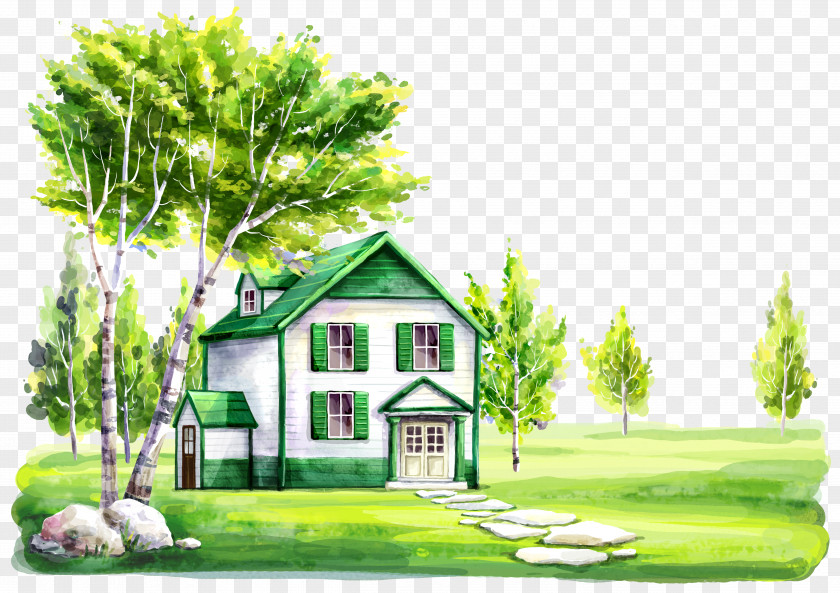 Green Home Photographic Studio Photography Child Wallpaper PNG