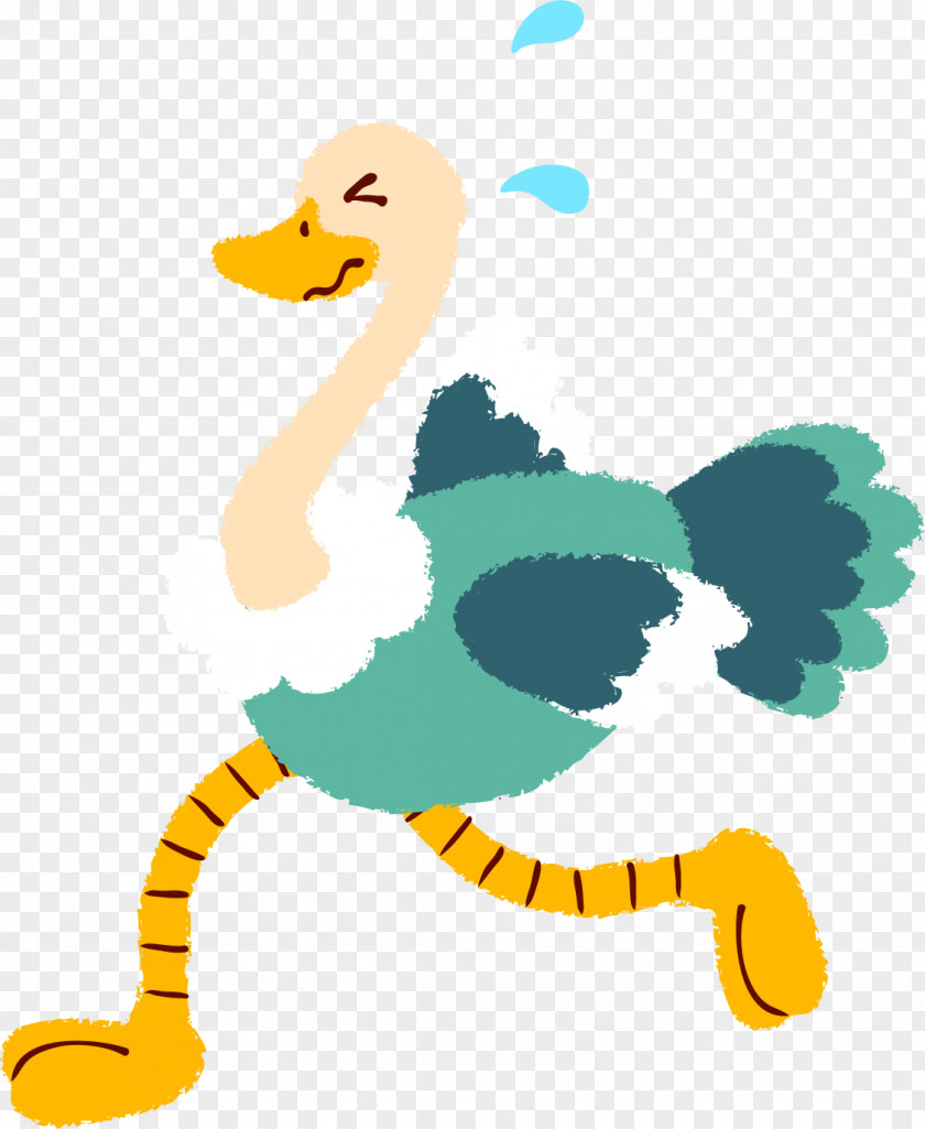 Hand-painted Ostrich Duck Common Bird Clip Art PNG