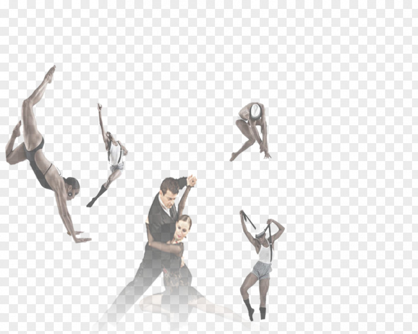 Latin Gym Performing Arts Dance Ballet Blog PNG