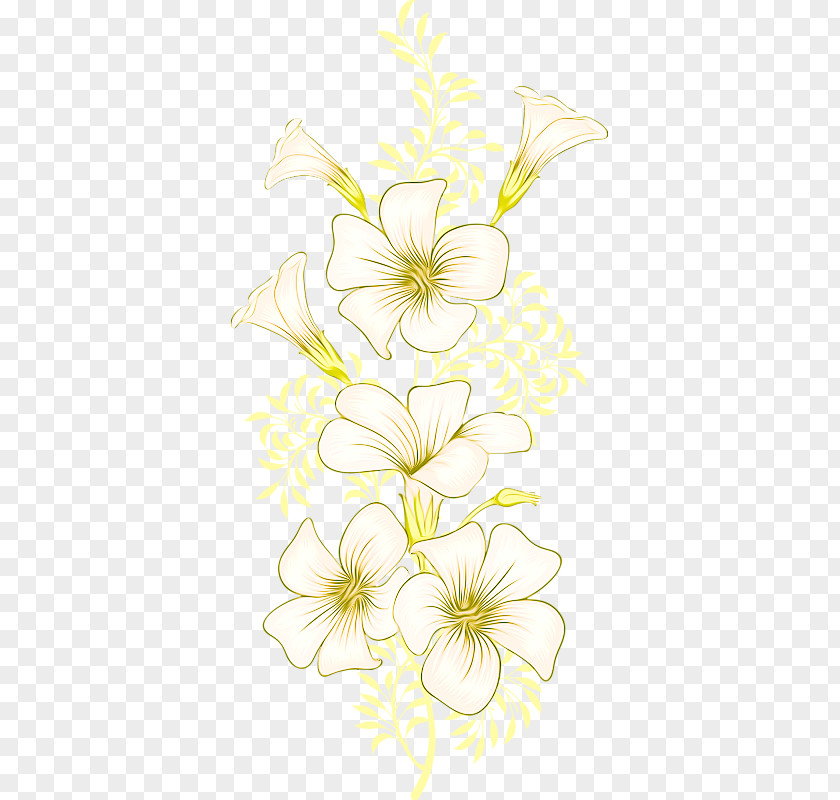 Morning Glory Floral Design Cut Flowers Branch Plant Stem PNG
