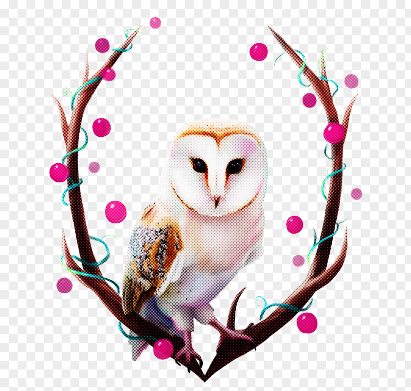 Owl Bird Branch Barn Heart PNG