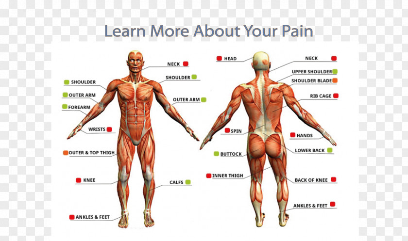 Tattoo Removal Pain Scale Tolerance PNG