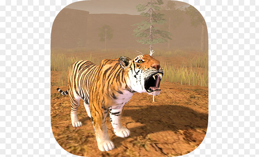 15 Puzzle Tiger WildlifeTiger 3d Hungry 3D Block Out HD Slider PNG