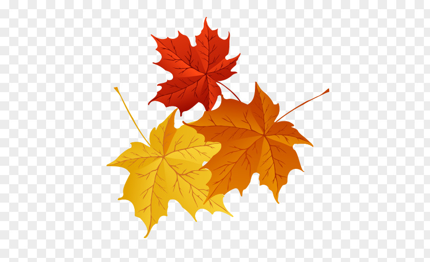 Autumn Vector Graphics Clip Art Illustration Royalty-free PNG