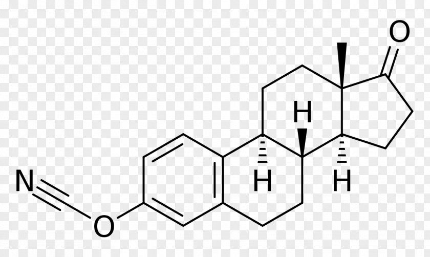 Cyanate The Great Testosterone Myth Estradiol Estrogen Metandienone Estrone PNG