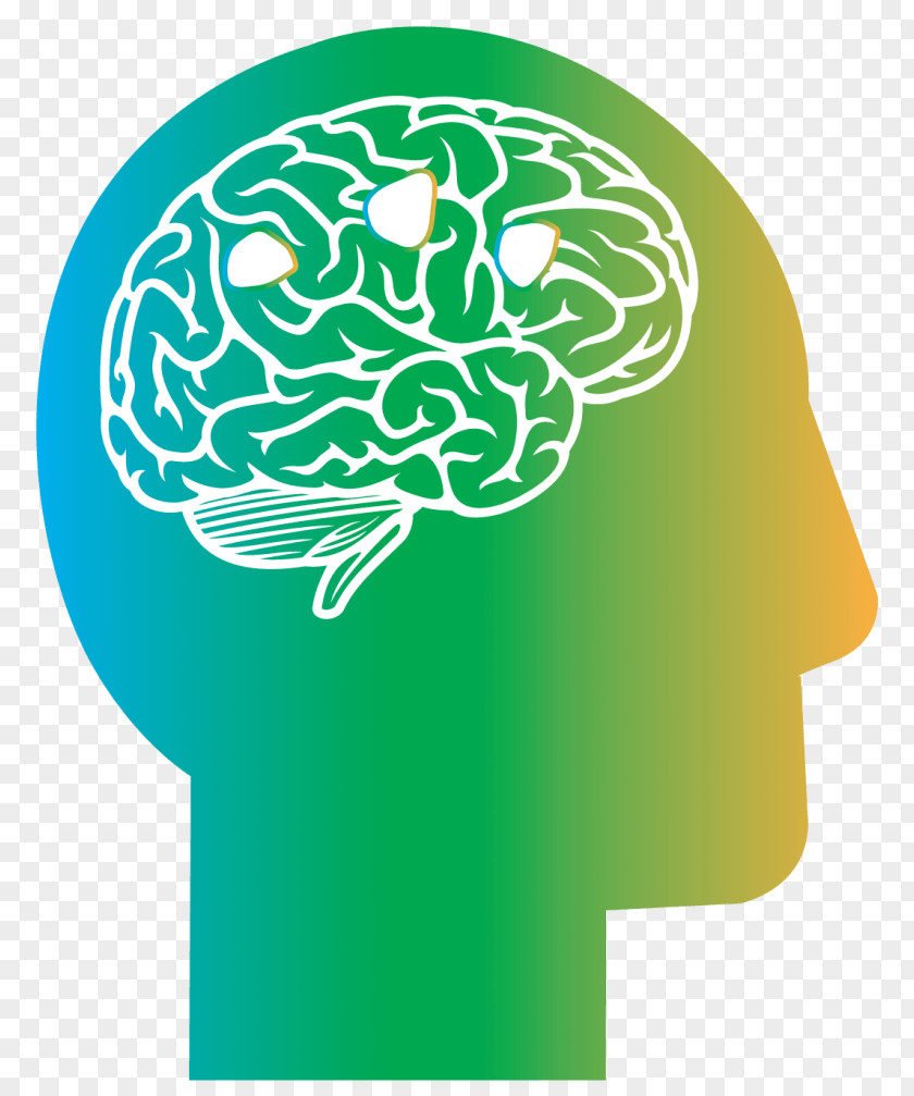 Neurological Disorder Neurology Preach Brain Medicine PNG