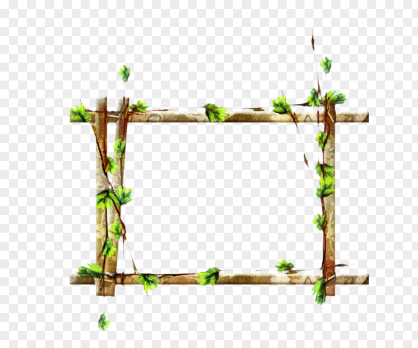 Rectangle Twig Flower Line PNG