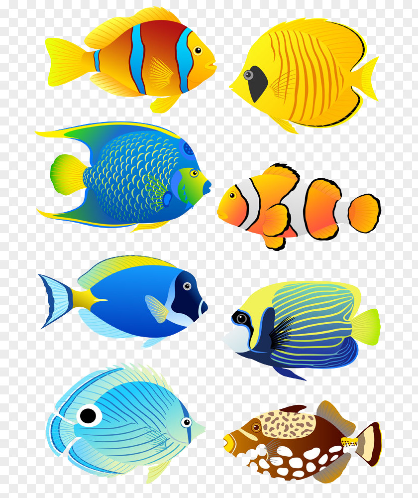 Six Cartoon Fish Tropical Angelfish Aquarium Clip Art PNG