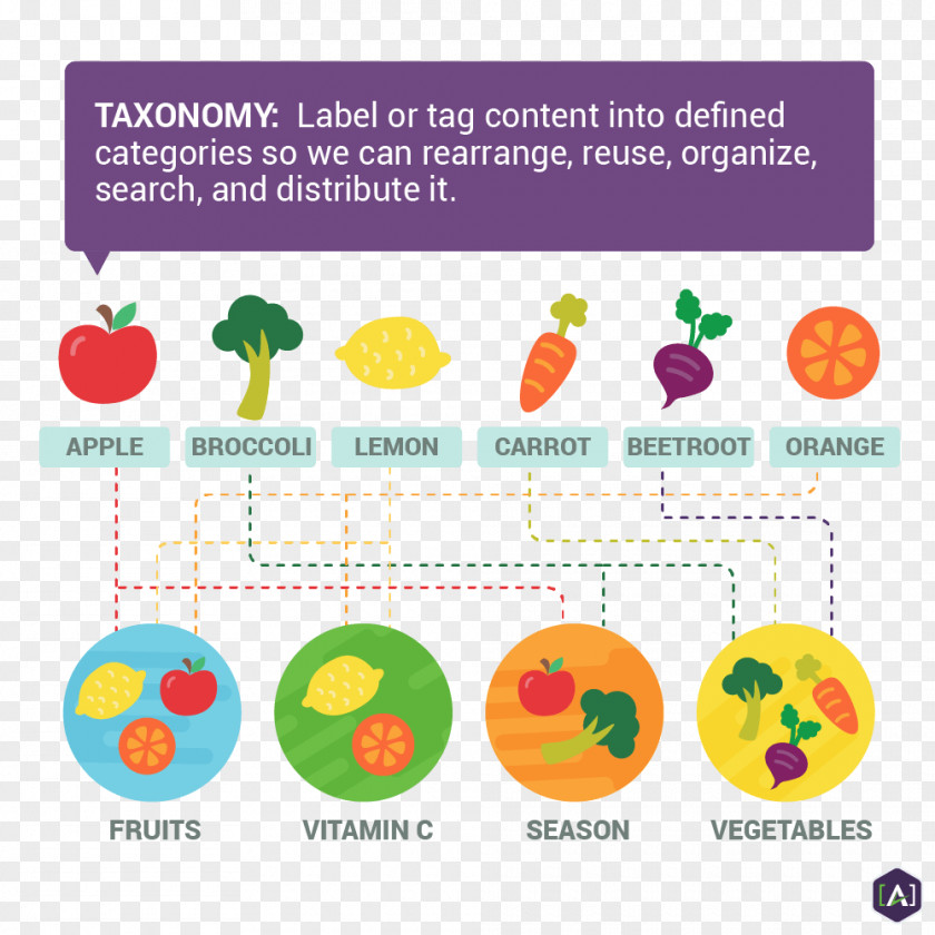 Taxonomy Ontology Organism Language PNG