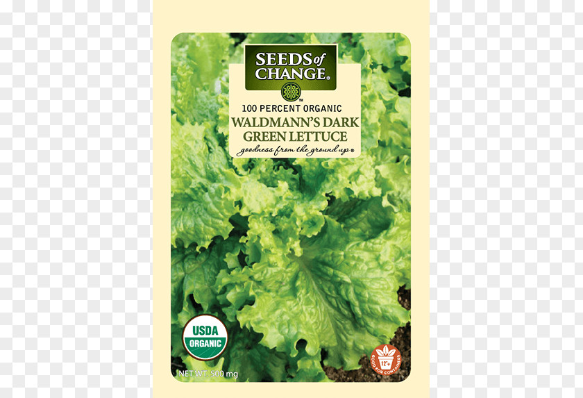 Vegetable Romaine Lettuce Organic Food Red Leaf PNG