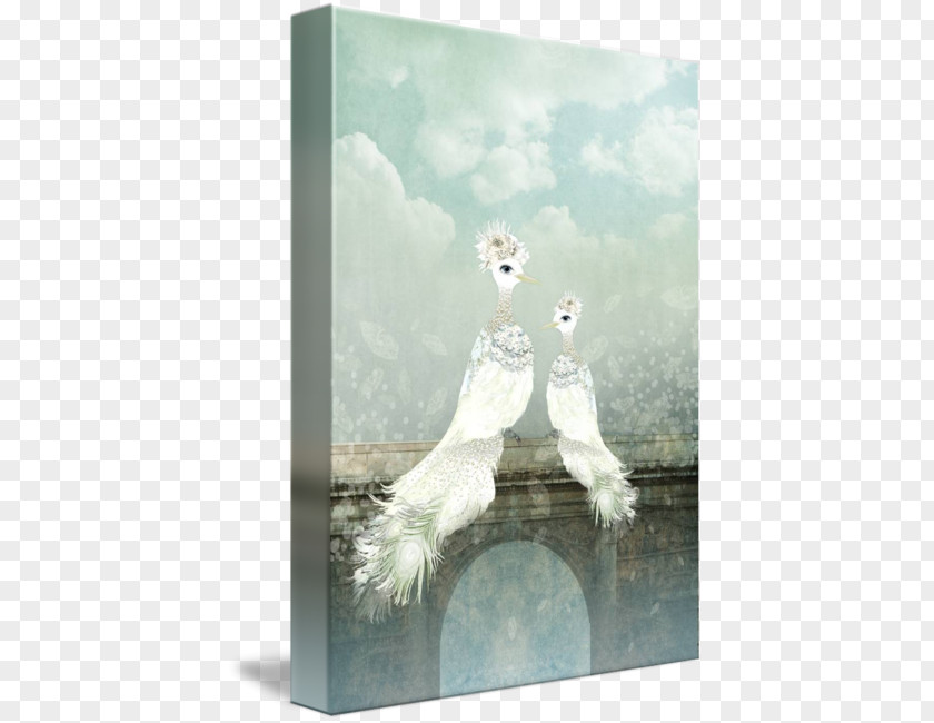 Couple Bird Lovebird Picture Frames Feather Wood PNG