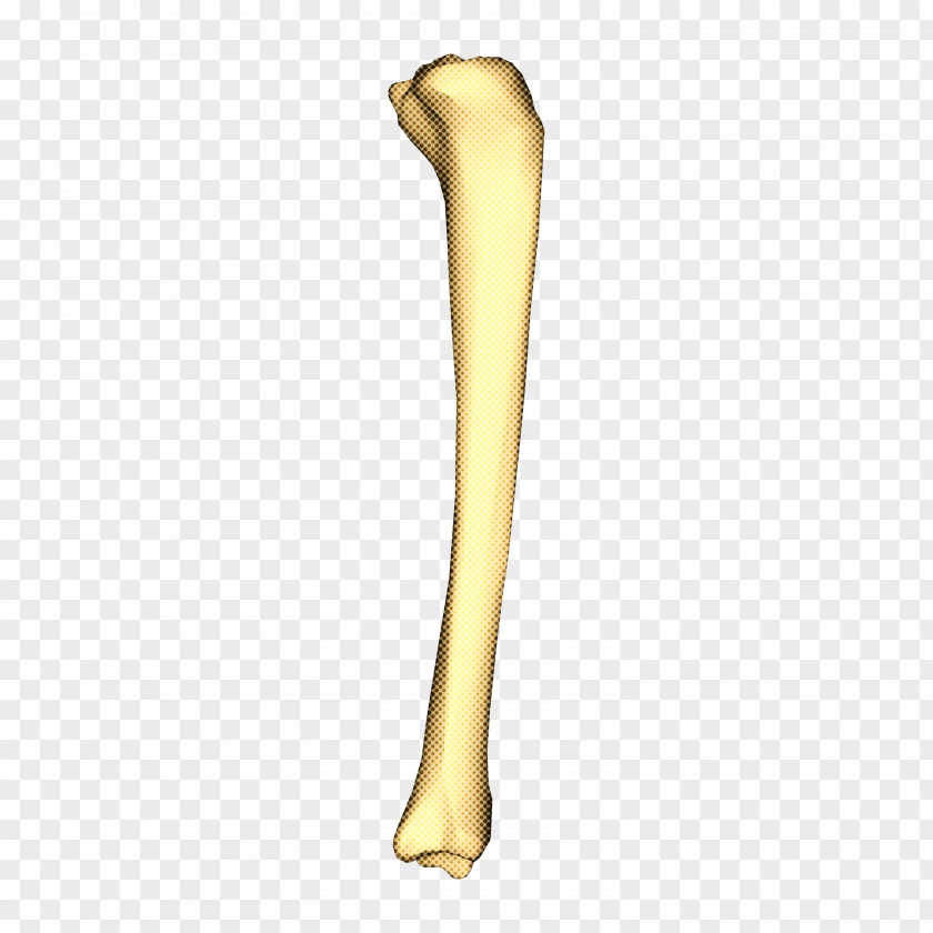 Data Editing Explanation Tibia PNG