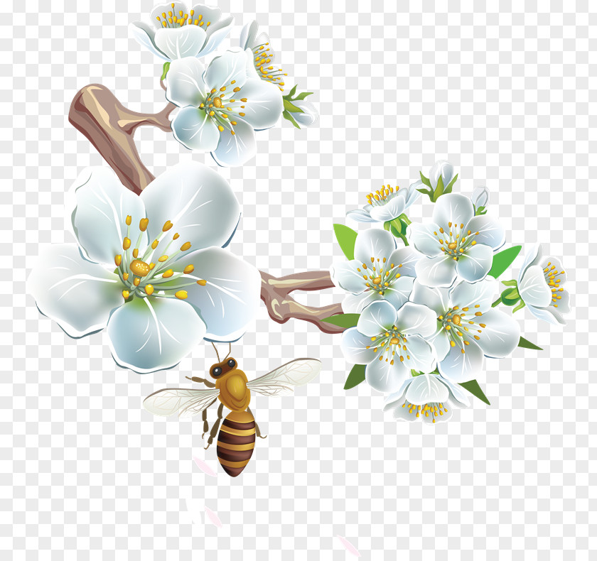 Ew Honey Bee Flower Clip Art PNG