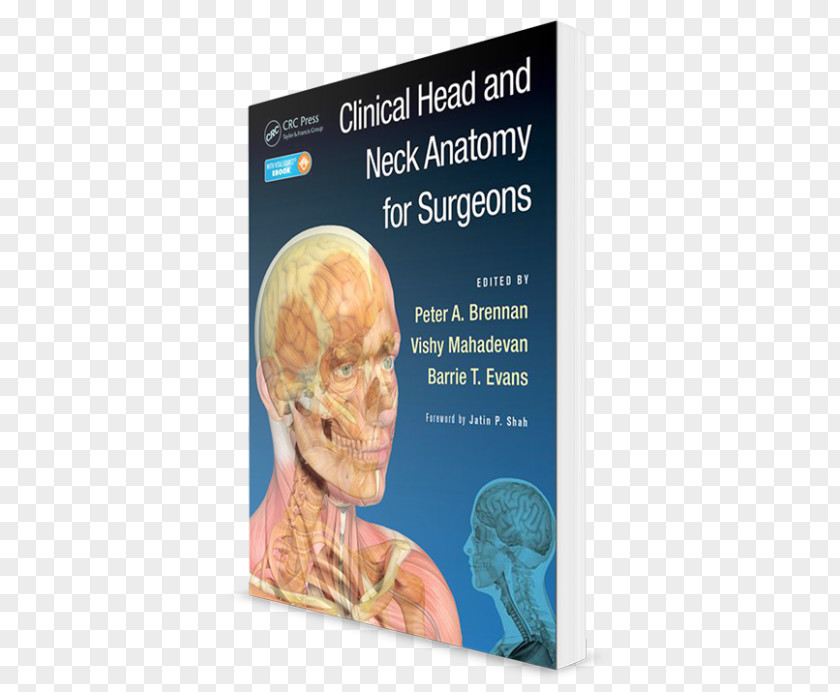 Head And Neck Neuroanatomy Through Clinical Cases Anatomy Surgery Human Body PNG