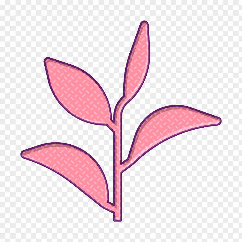 Natural Scent Icon Leaf Green Tea PNG