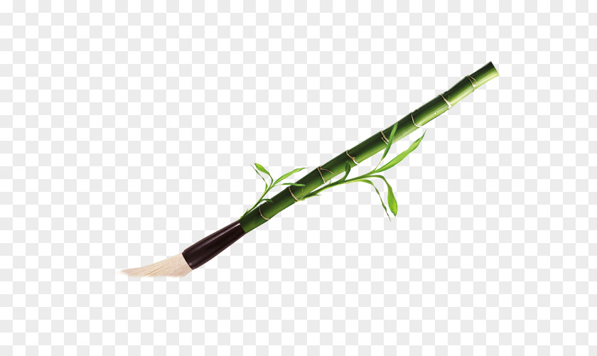 Traditional Bamboo Brush Plant Stem PNG