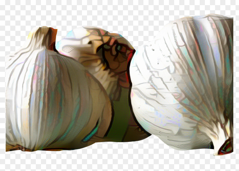 Bin Bag Plant Onion Cartoon PNG