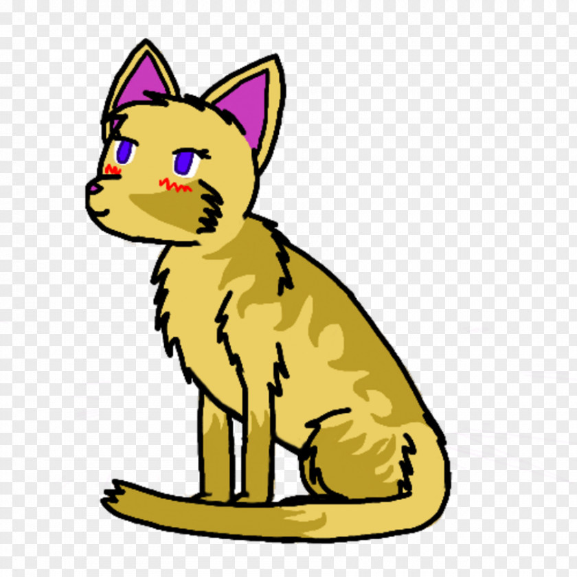 Kitten Whiskers Domestic Short-haired Cat Red Fox PNG