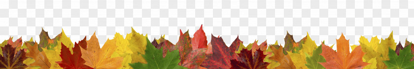 Autumn Leaves Stock Photography Fotolia Royalty-free PNG