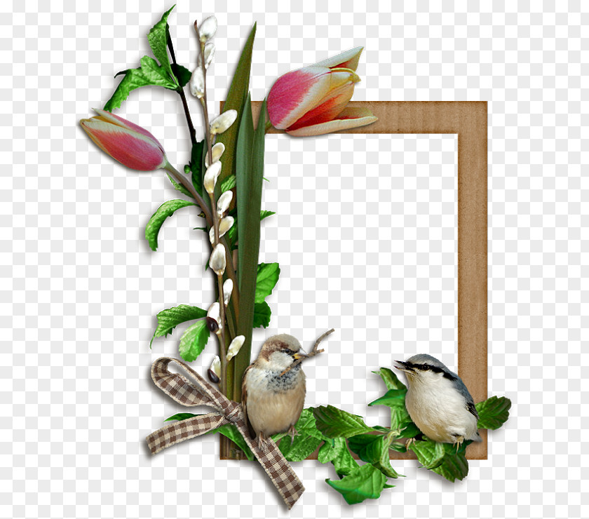 FLORES Picture Frames Bird Easter PNG