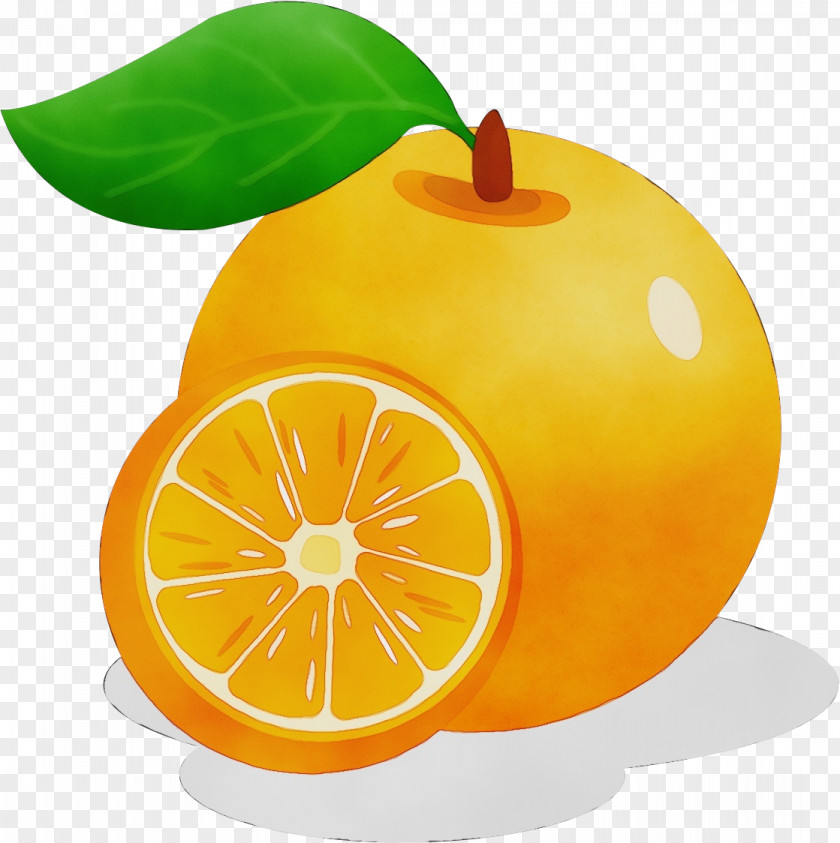 Orange PNG