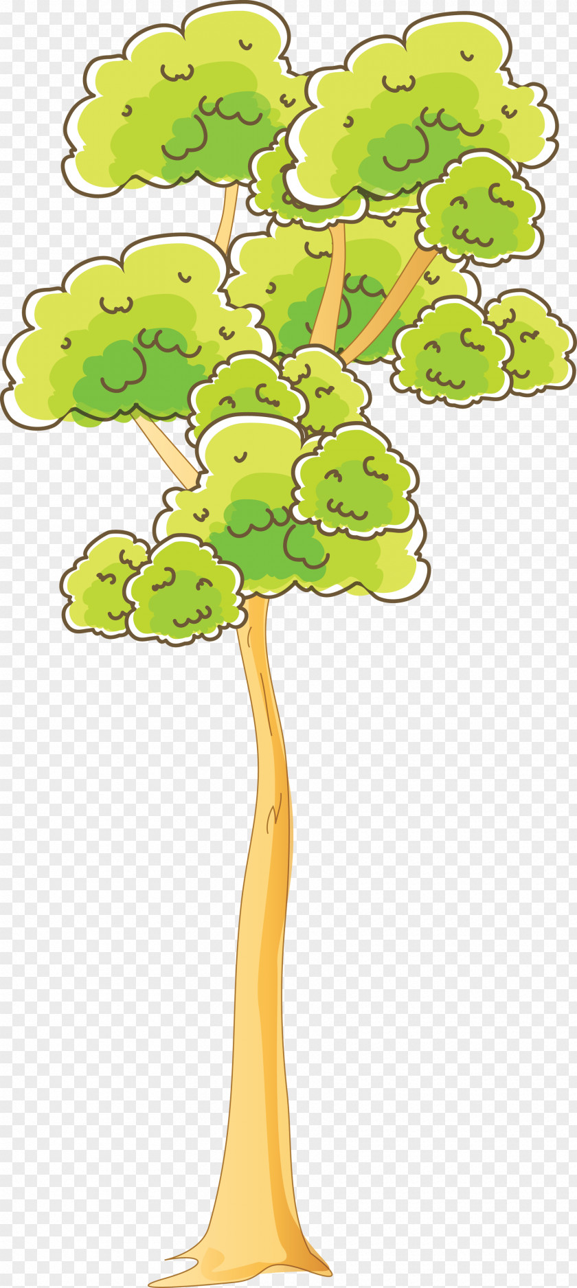 Tree Woody Plant Branch Clip Art PNG