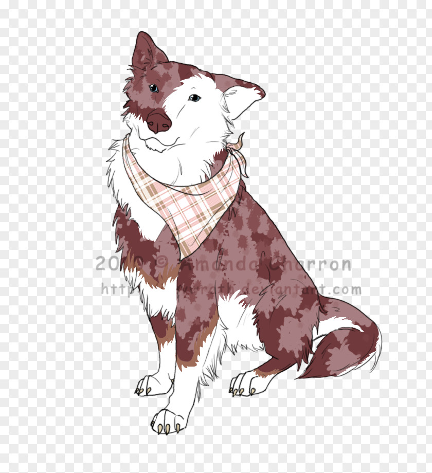 Cat Dog Breed Whiskers PNG