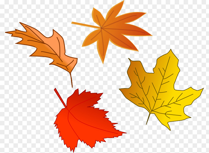 Fall Leaves Clipart Autumn Leaf Color The Are Falling One By Clip Art PNG