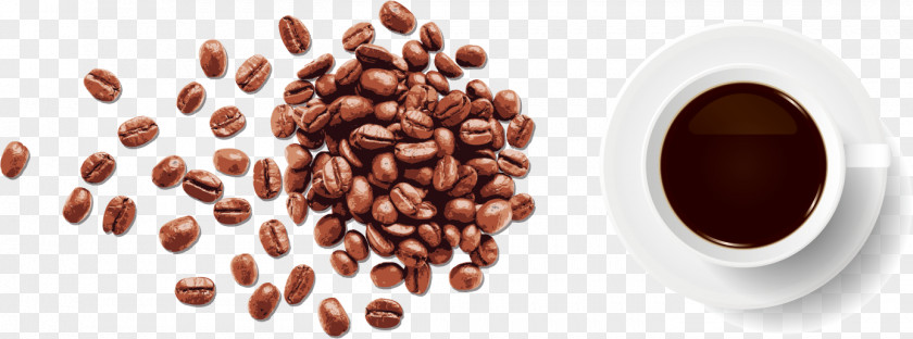 Gourmet Coffee Bean Espresso Cafe PNG