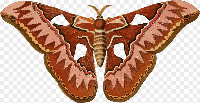 Insect Butterfly Moth Silkworm Clip Art PNG