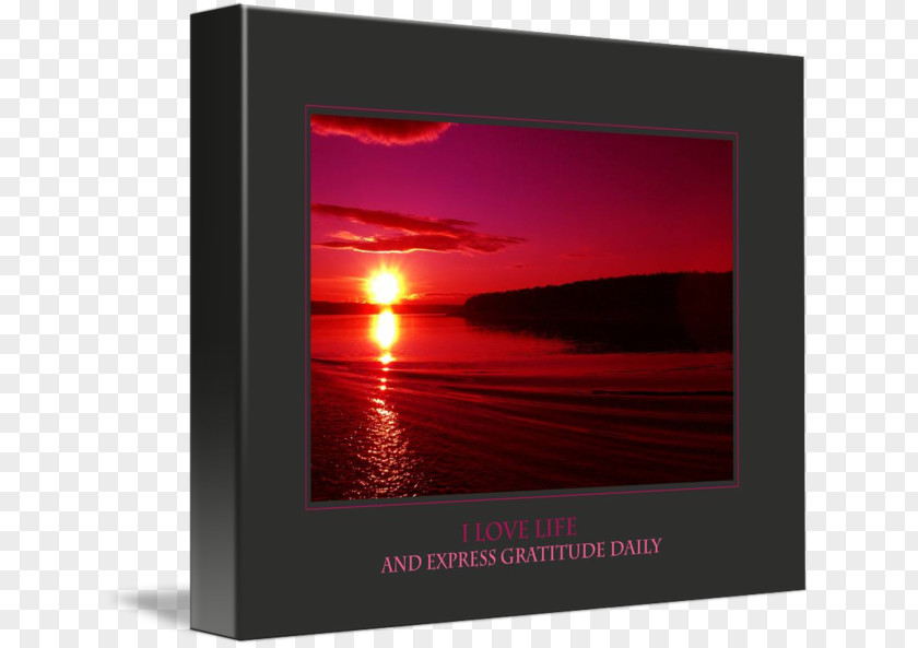 Love Poster Multimedia Display Device Advertising Picture Frames PNG
