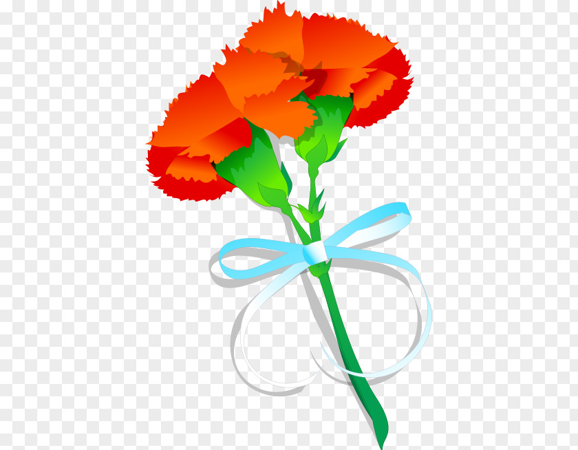 Painted Orange Ribbon Flower Pattern Carnation PNG