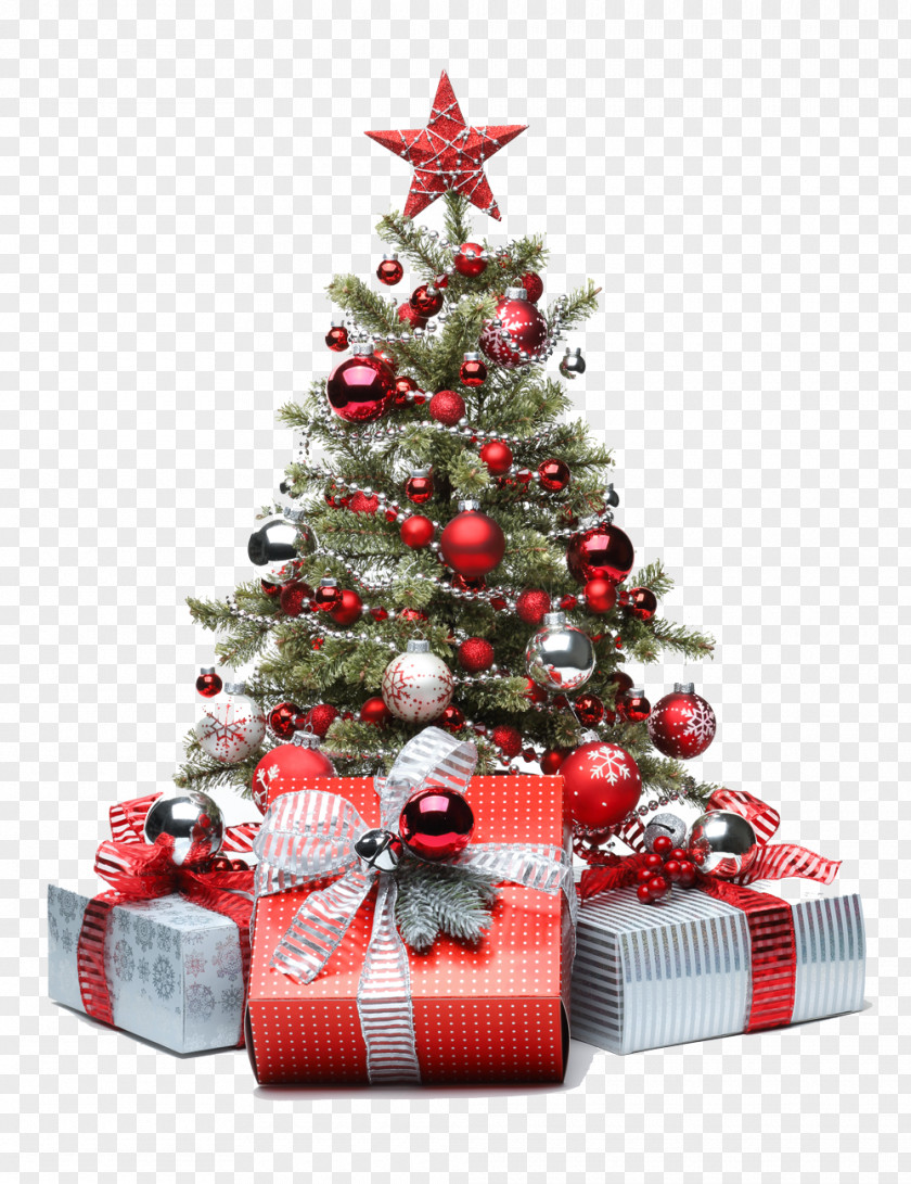 Small Holiday Christmas Tree Santa Claus Gift And Season PNG