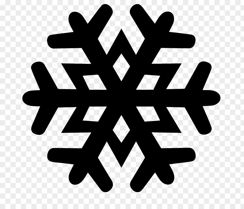 Snowflake Idaho Public Television Iron Range The 60s Experience Snow PNG