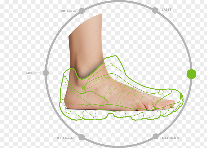 Tempalte Finger Sine Wave Function Unit Circle PNG