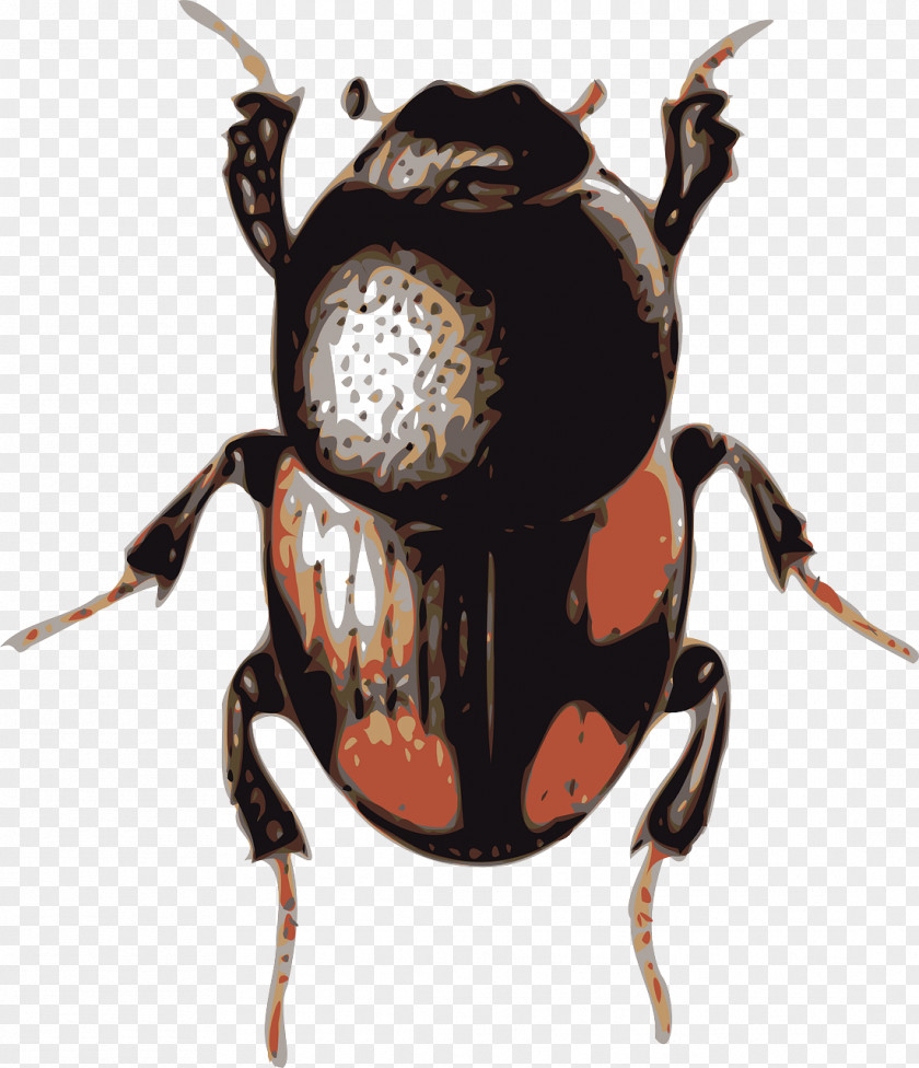 Black Beetle Volkswagen Clip Art PNG