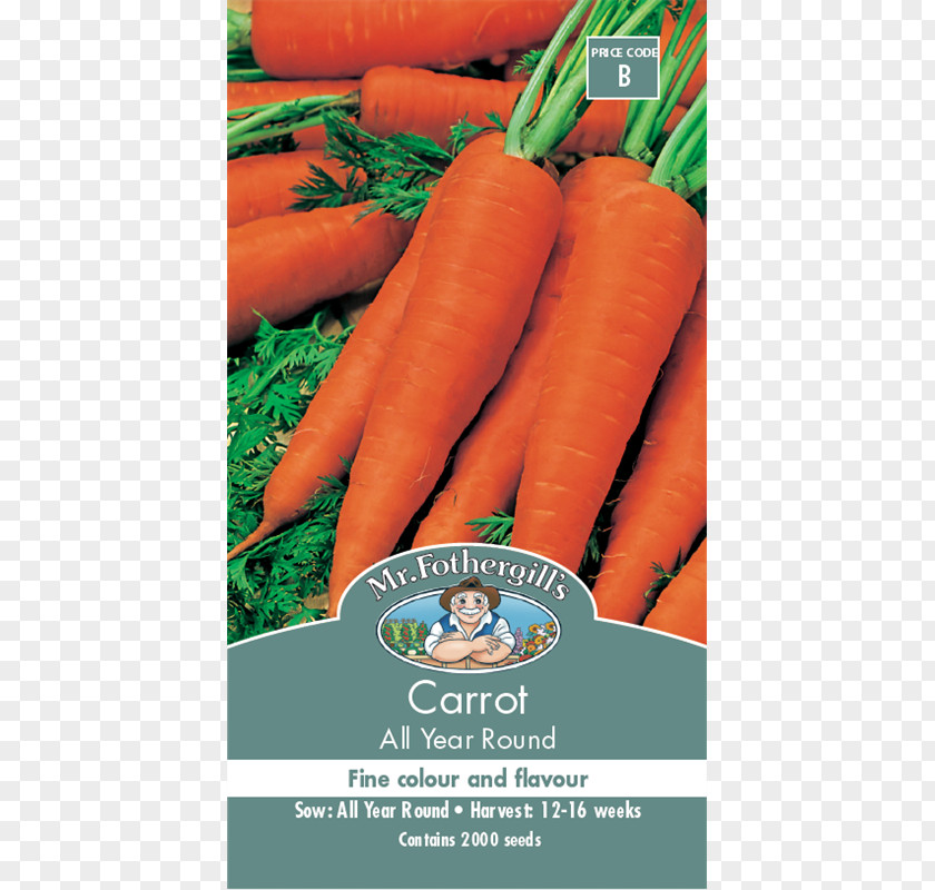 Carrot Baby Food Seed Vegetable PNG