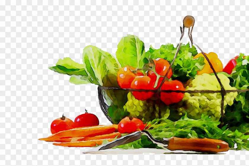 Greens Vegetarian Cuisine Food Salad Garnish PNG