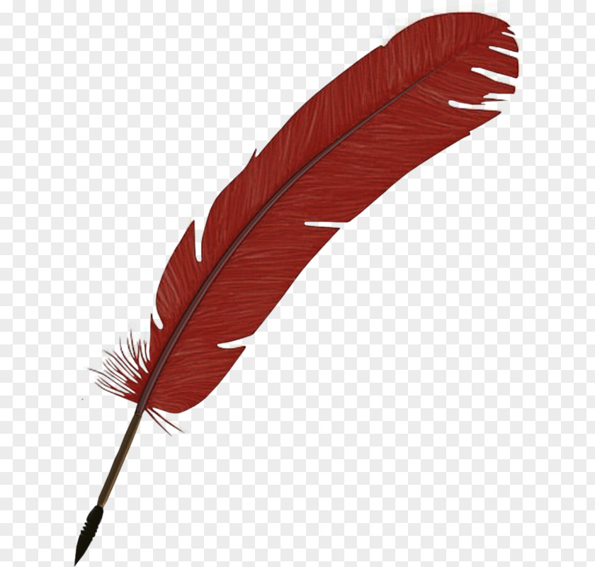 Hand-painted Feathers Feather Gratis PNG