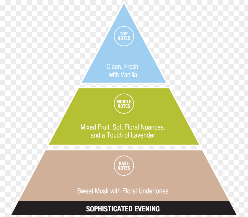 Health Ketogenic Diet Diagram PNG