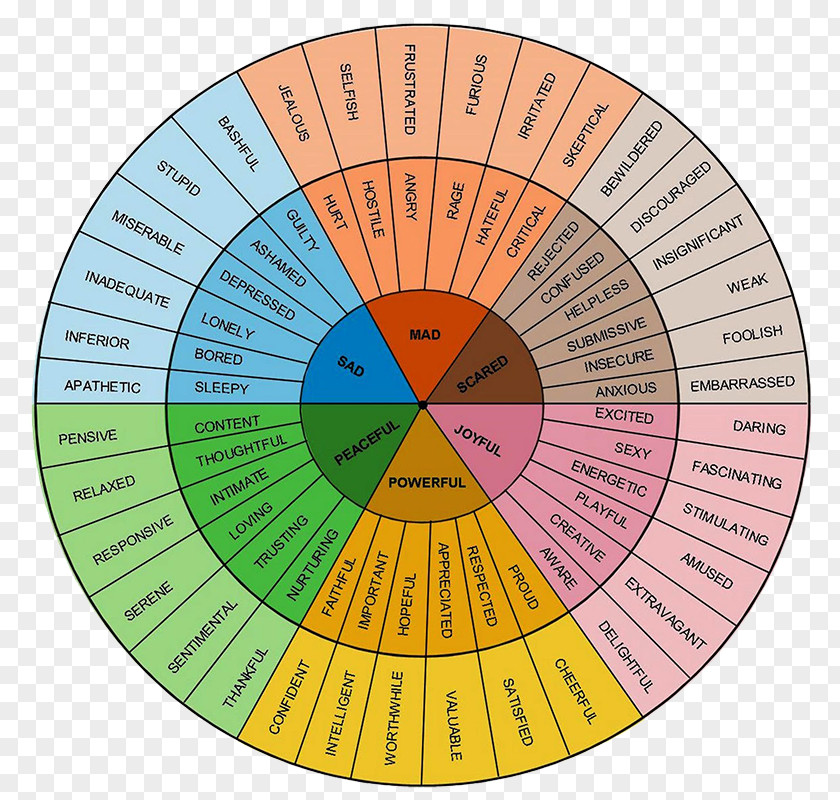 Clock Scale Feeling Emotion Word Vocabulary Understanding PNG