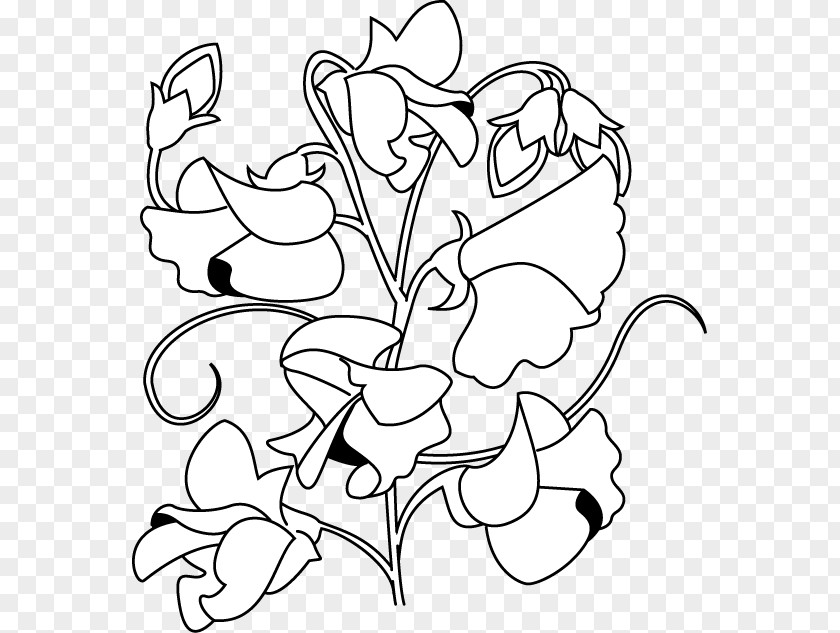 Flower Floral Design Sweet Pea Clip Art PNG