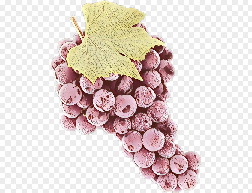 Food Fruit Grape Cartoon PNG