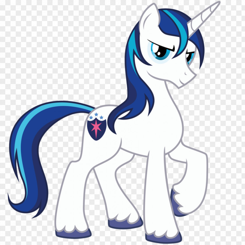 My Little Pony Shining Armor Princess Cadance Twilight Sparkle Rarity PNG