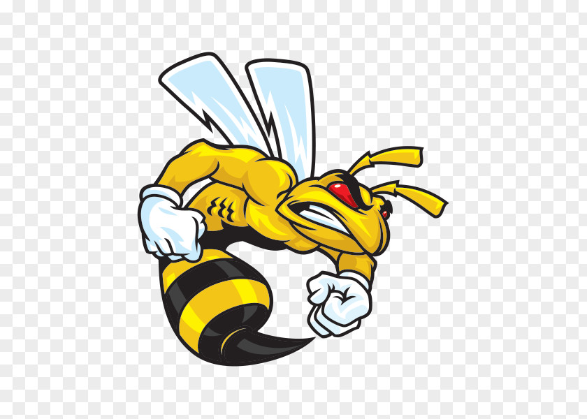 Wasp Bee Hornet Ski-Doo Decal Sticker PNG