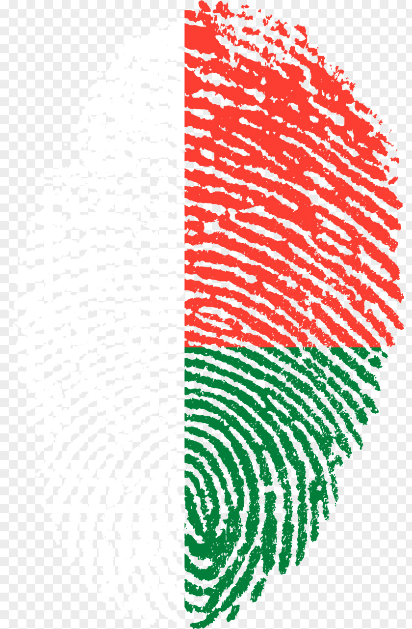 Flag Of Haiti Kosovo Fingerprint Somalia PNG