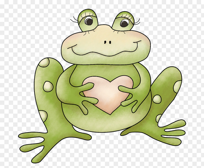 Frog Post Cards Amphibians Toad Image PNG