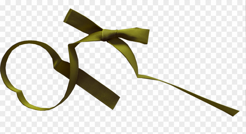 Green Ribbon Bow Shoelace Knot PNG